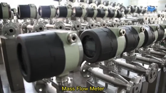 Macsensor Professional Manufacturer High Quality Liquid Portable Propane Gas Coriolis Mass Flow Meter