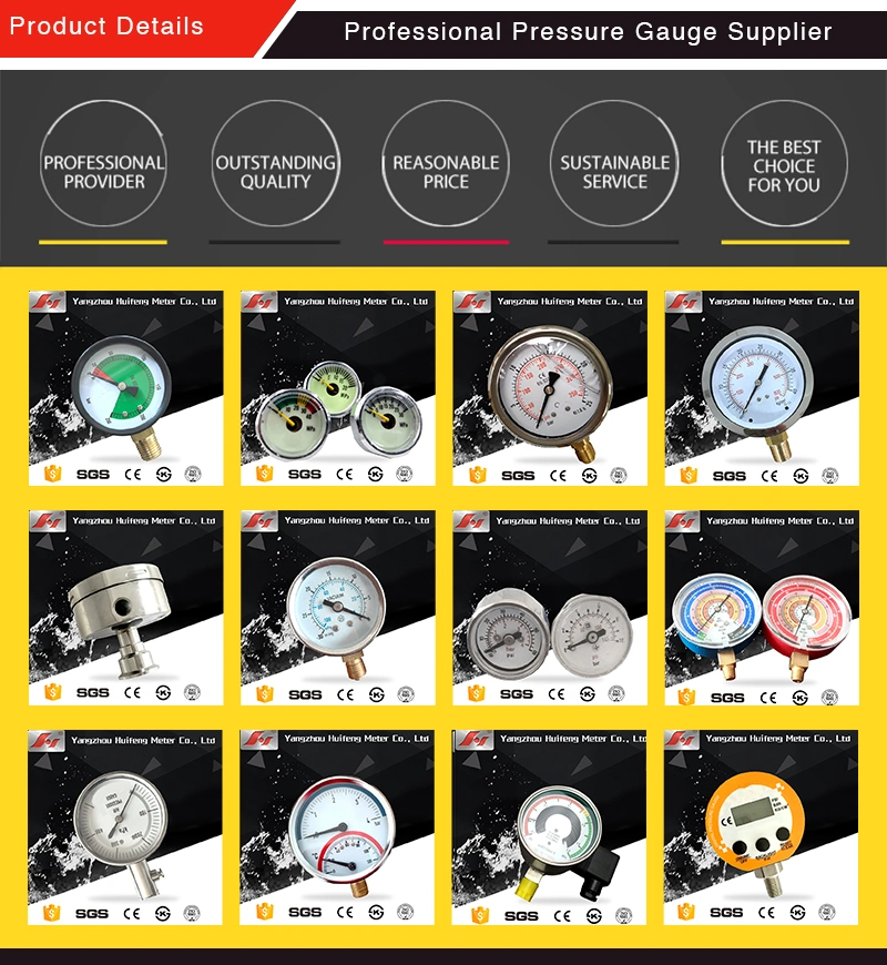 Pressure Gauge with Diaphragm Seal Forbes Marshall